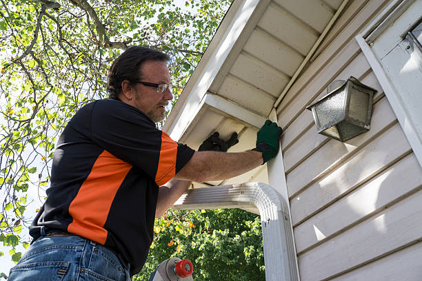 Professional Siding Services in Cloverleaf, TX